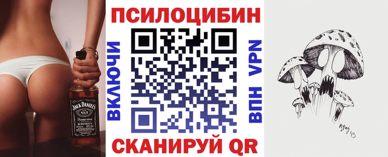 Купить закладки  Новоульяновск  Псилоцибиновые грибы прущие грибы 