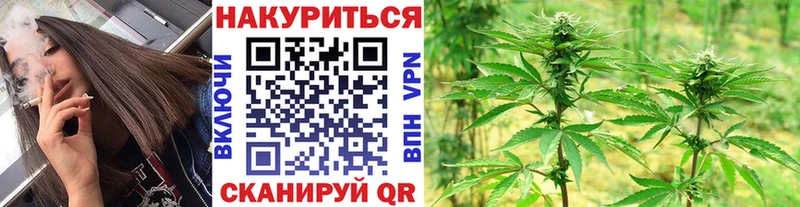 Купить  Новоульяновск  Каннабис MAZAR 